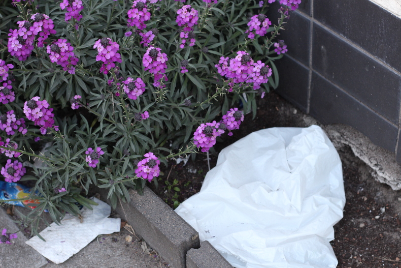 Silvrback blog image