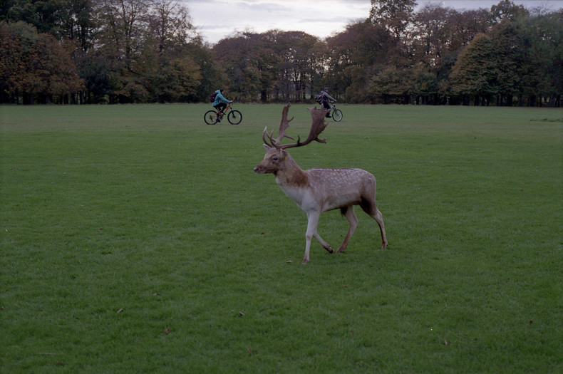 Silvrback blog image