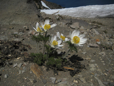 Silvrback blog image