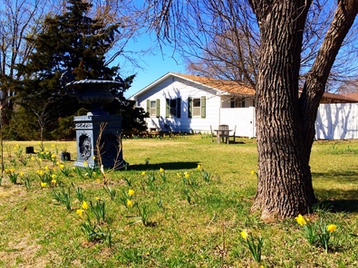 Silvrback blog image