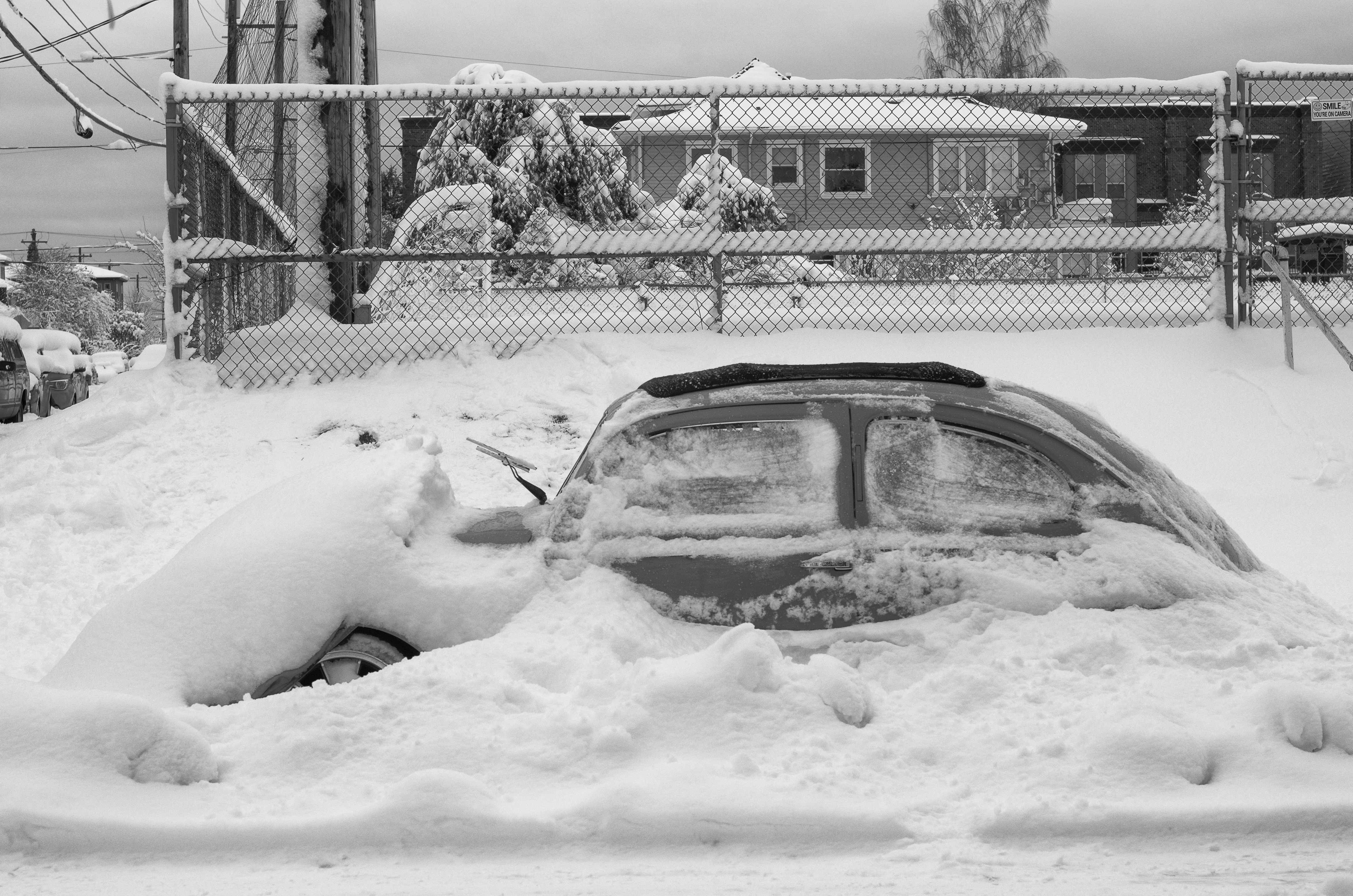 Bug in snow 