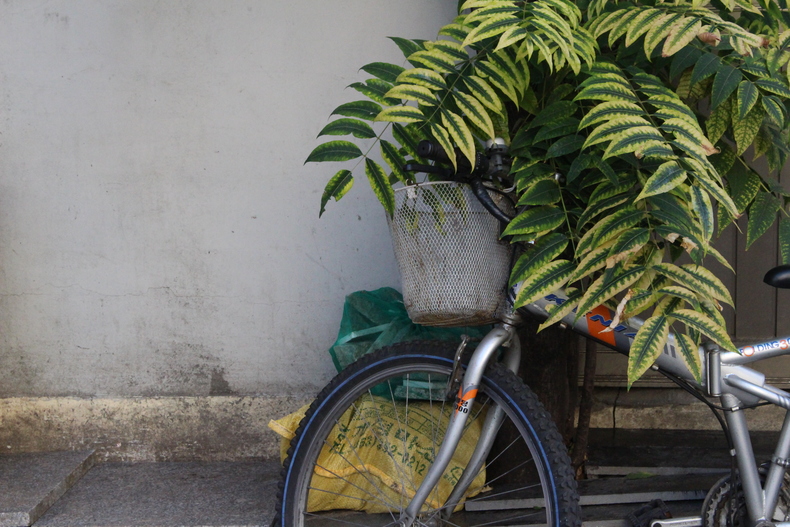 Silvrback blog image