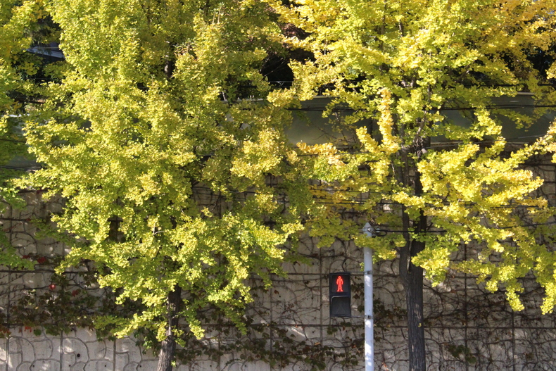 Silvrback blog image