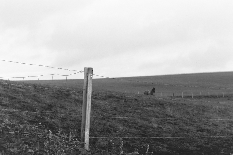 Silvrback blog image