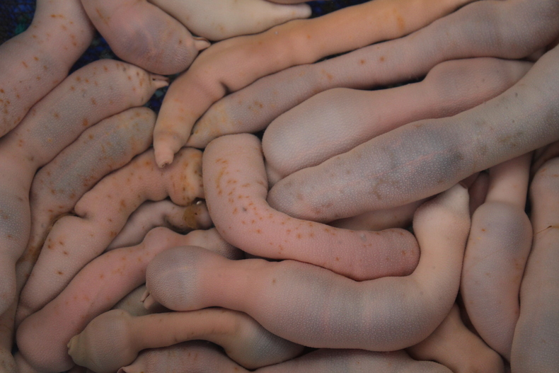 Silvrback blog image