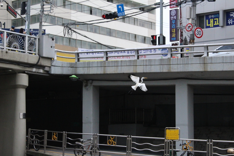 Silvrback blog image