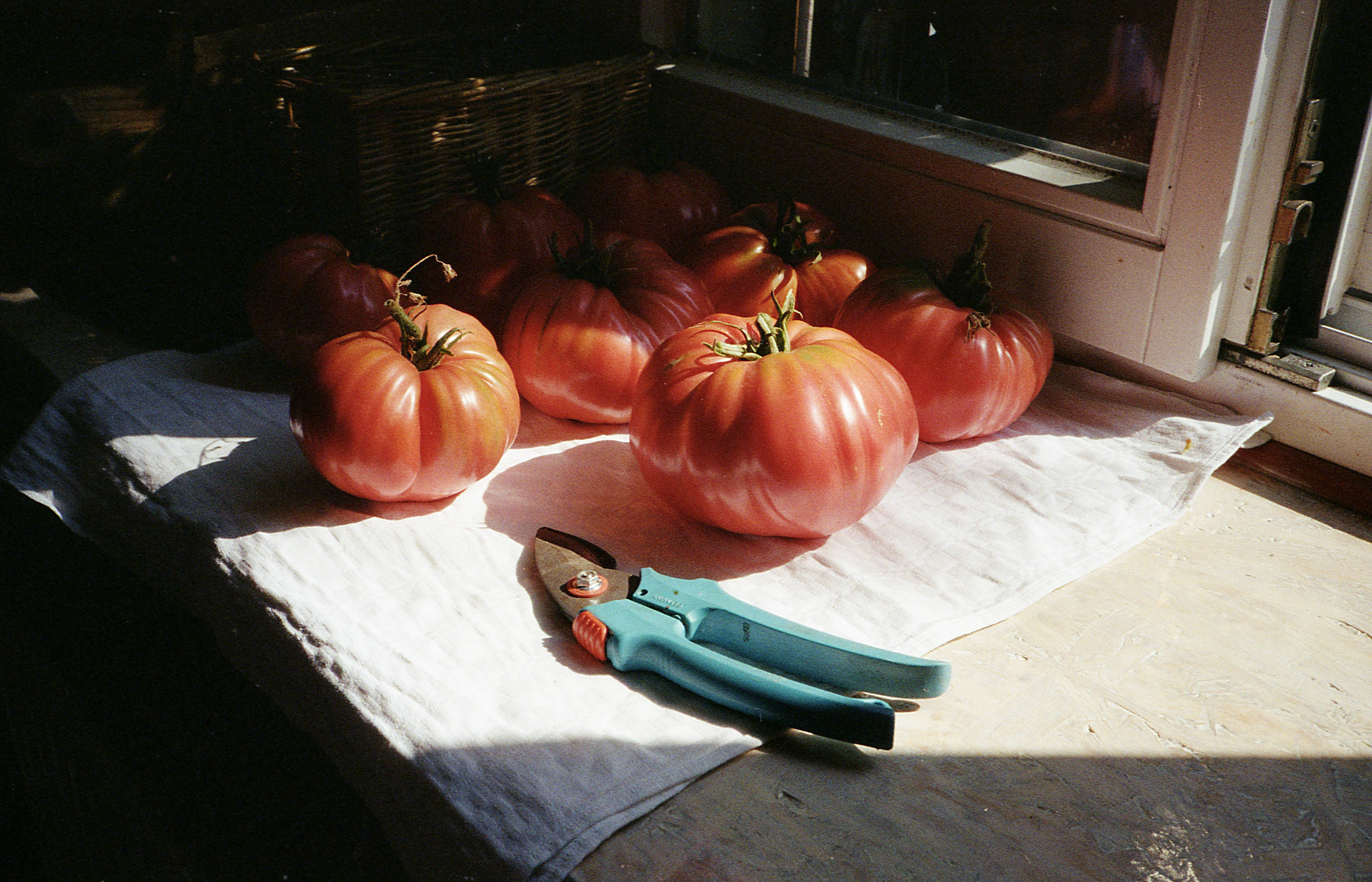 Silvrback blog image