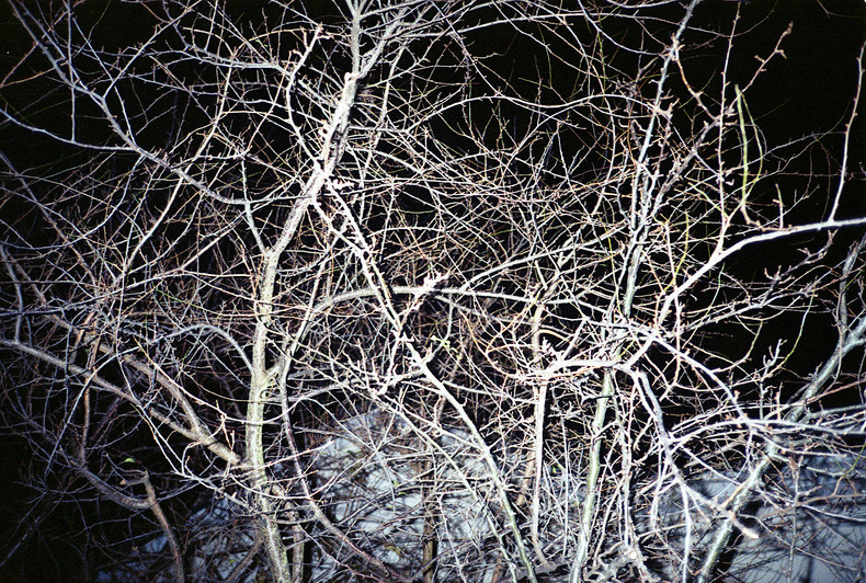 Silvrback blog image