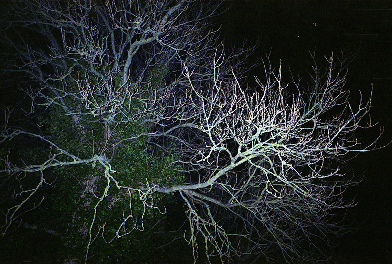 Silvrback blog image