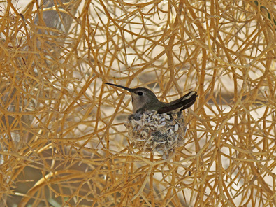 Silvrback blog image