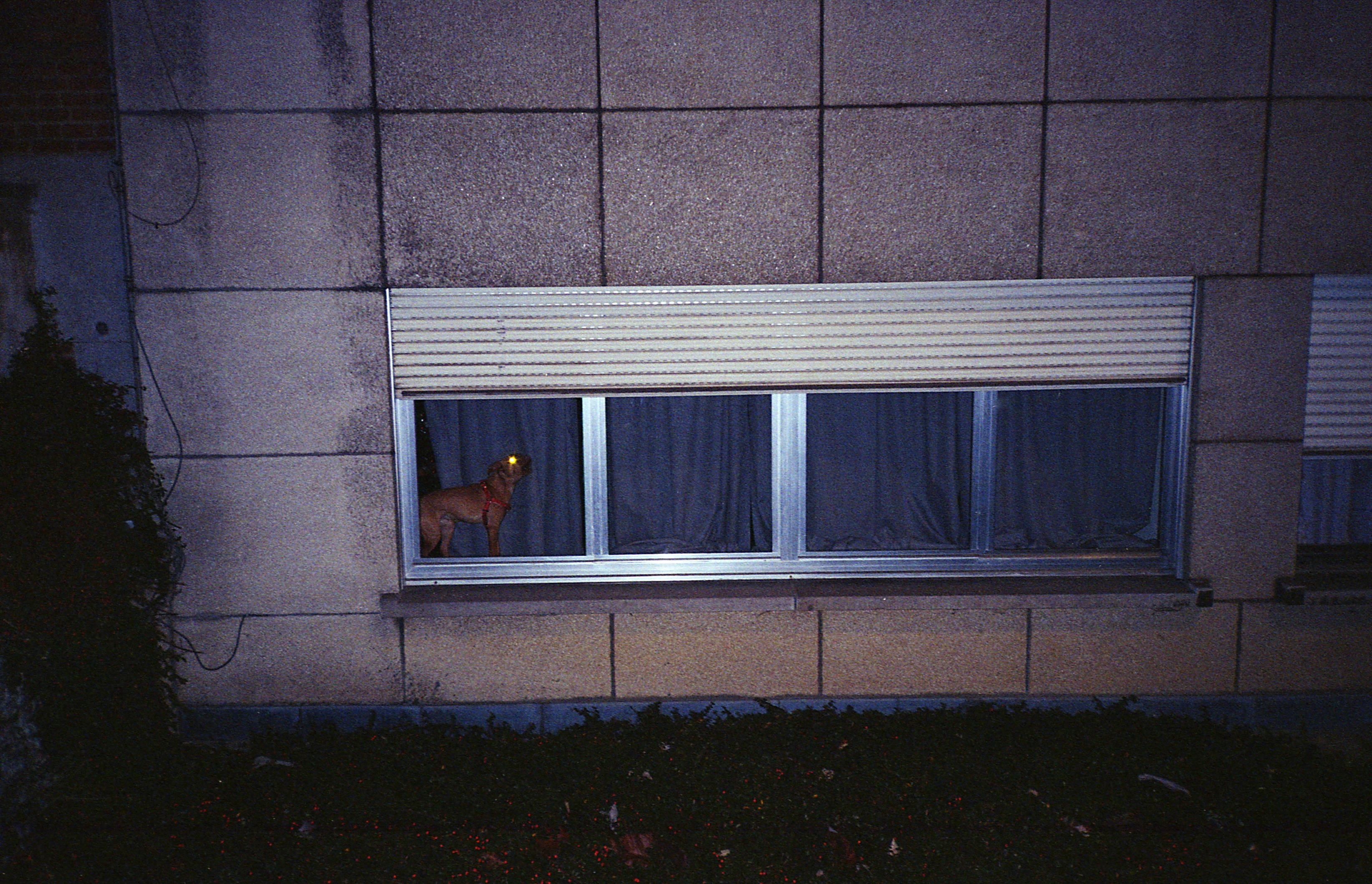 Silvrback blog image