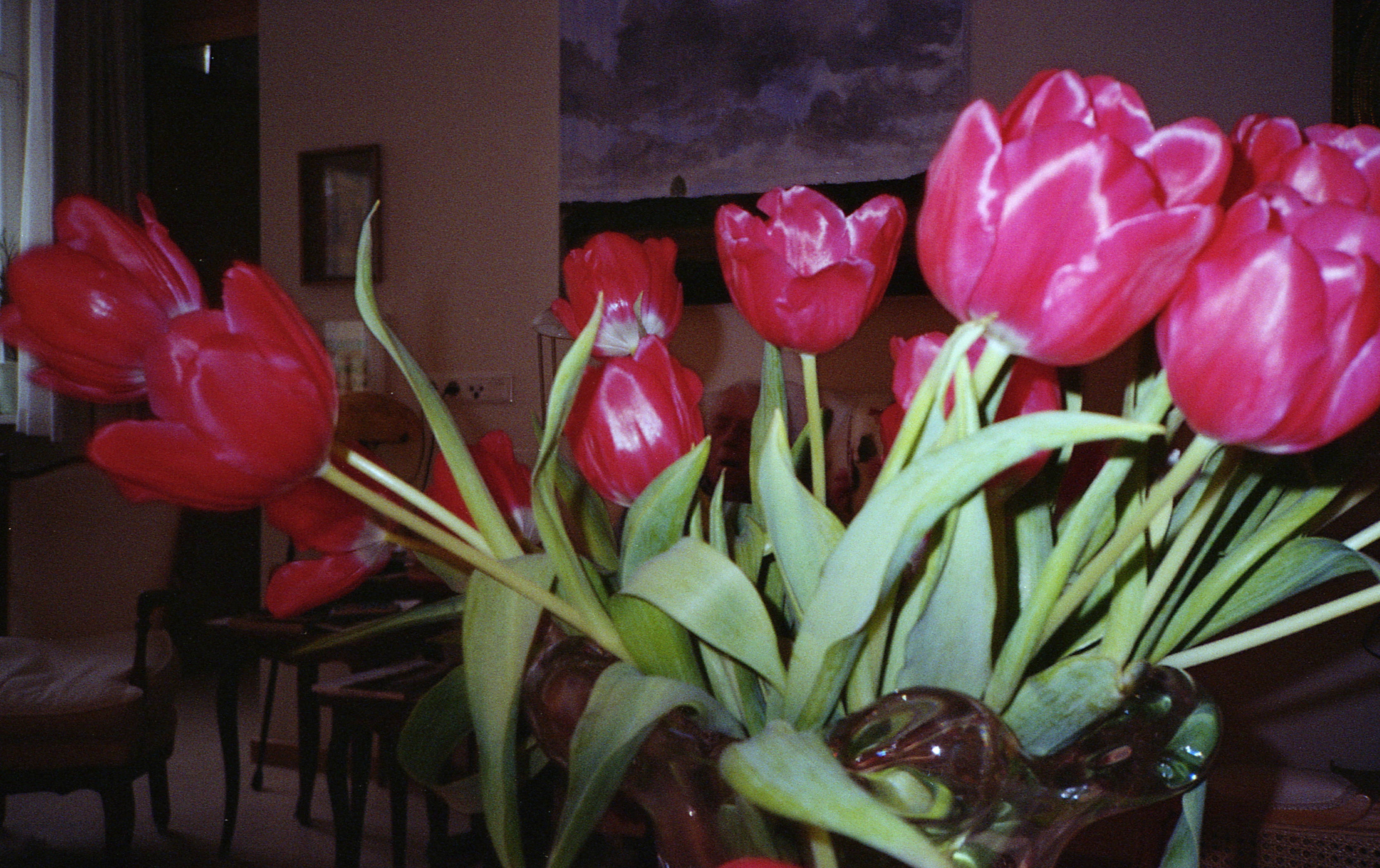 Silvrback blog image