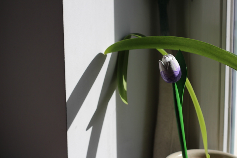 Silvrback blog image