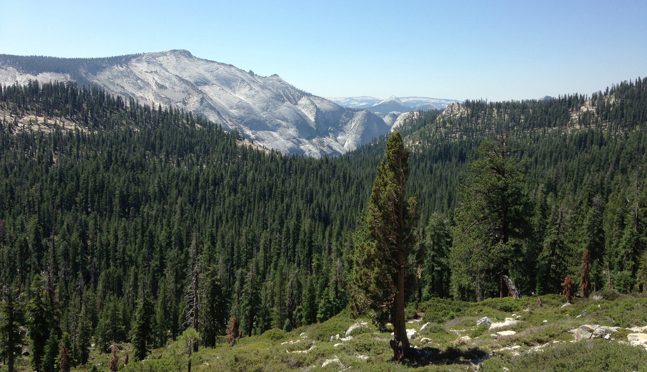 Img%202_large