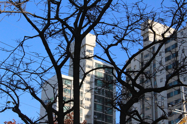 Silvrback blog image