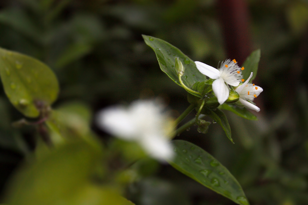 5435642164_4028650d52_b_large