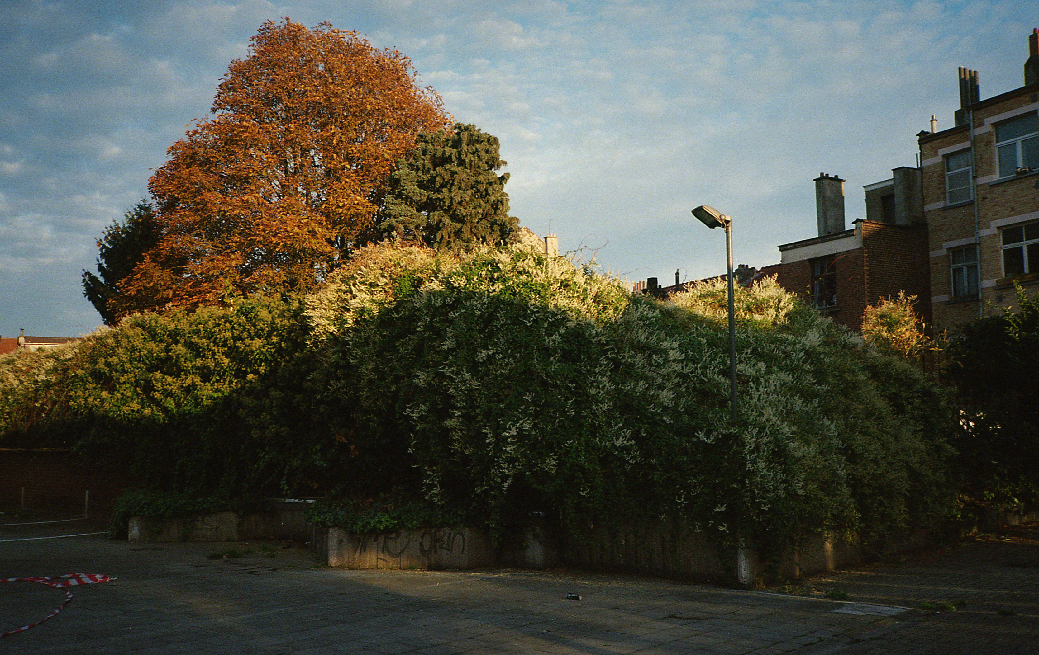 Silvrback blog image