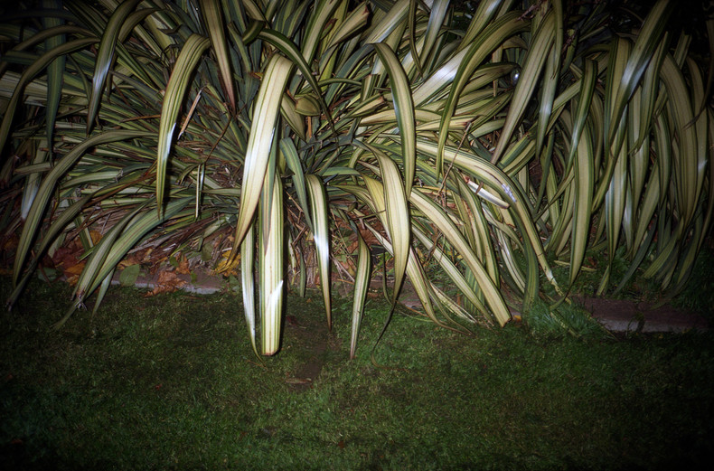 Silvrback blog image