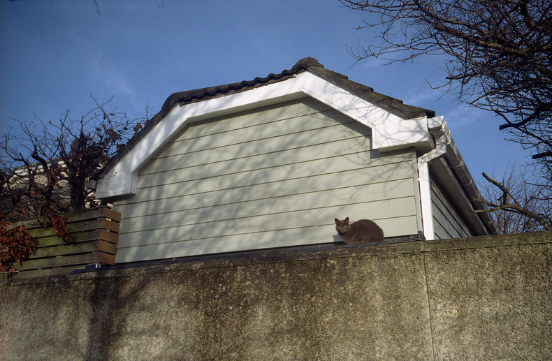 Silvrback blog image