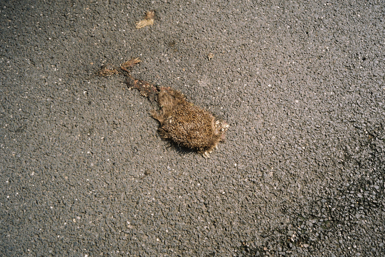 Silvrback blog image