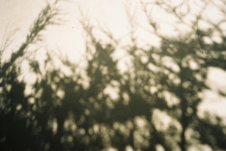 Silvrback blog image