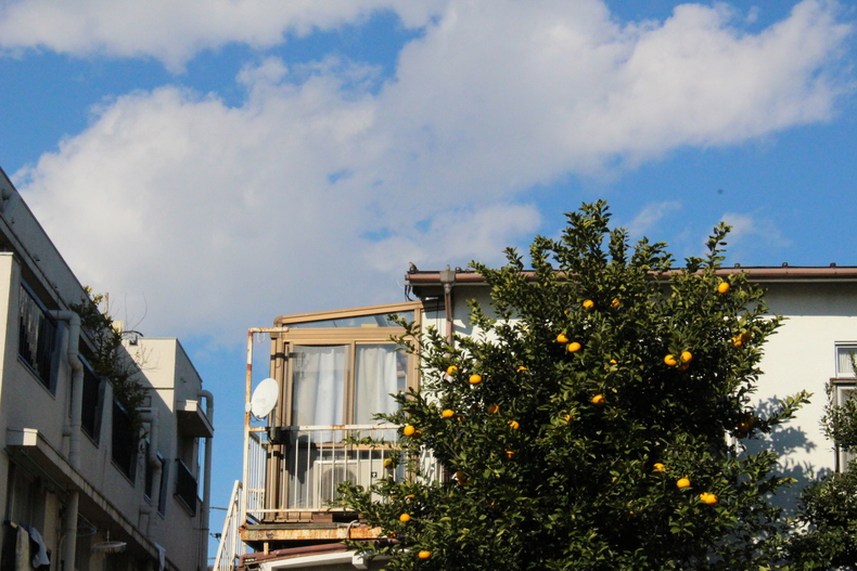 Silvrback blog image