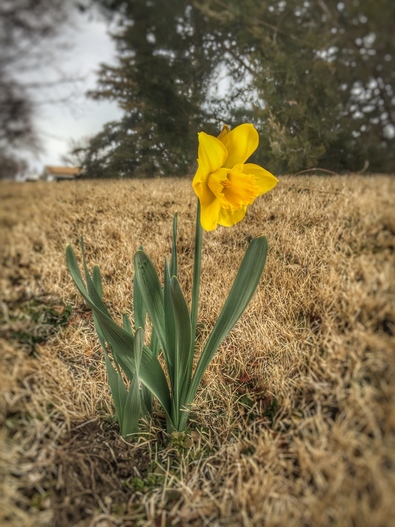 Silvrback blog image