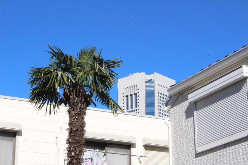 Silvrback blog image