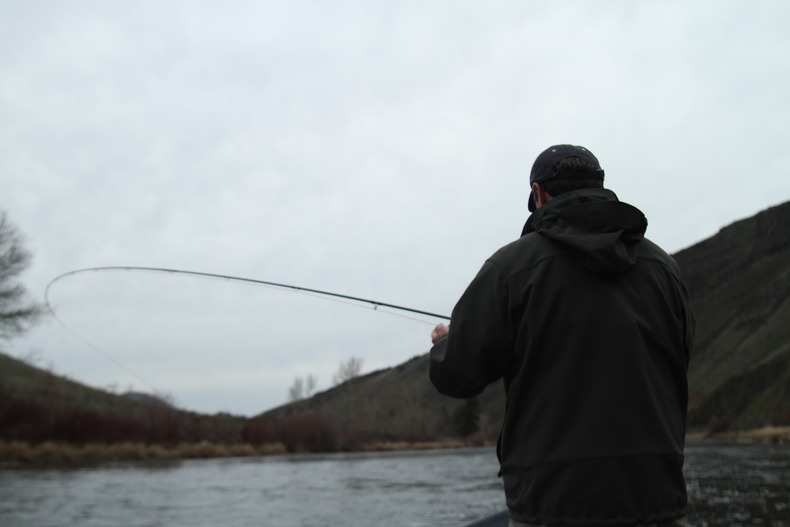 Silvrback blog image