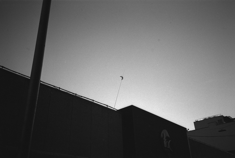 Silvrback blog image