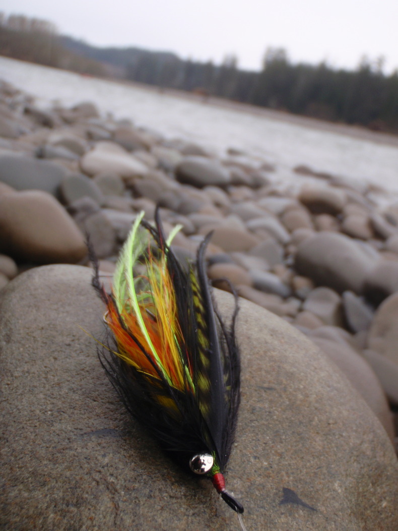Silvrback blog image