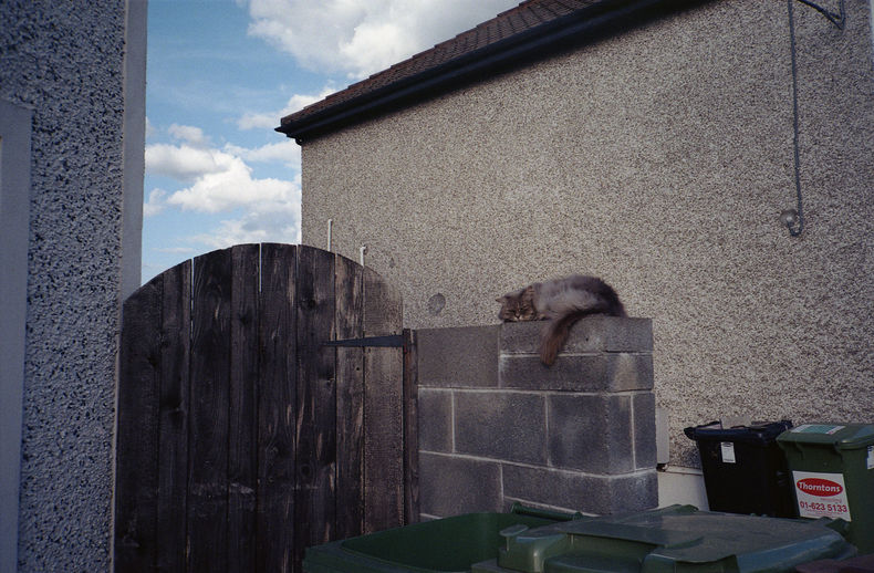 Silvrback blog image