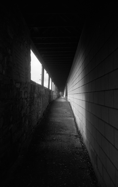 Silvrback blog image