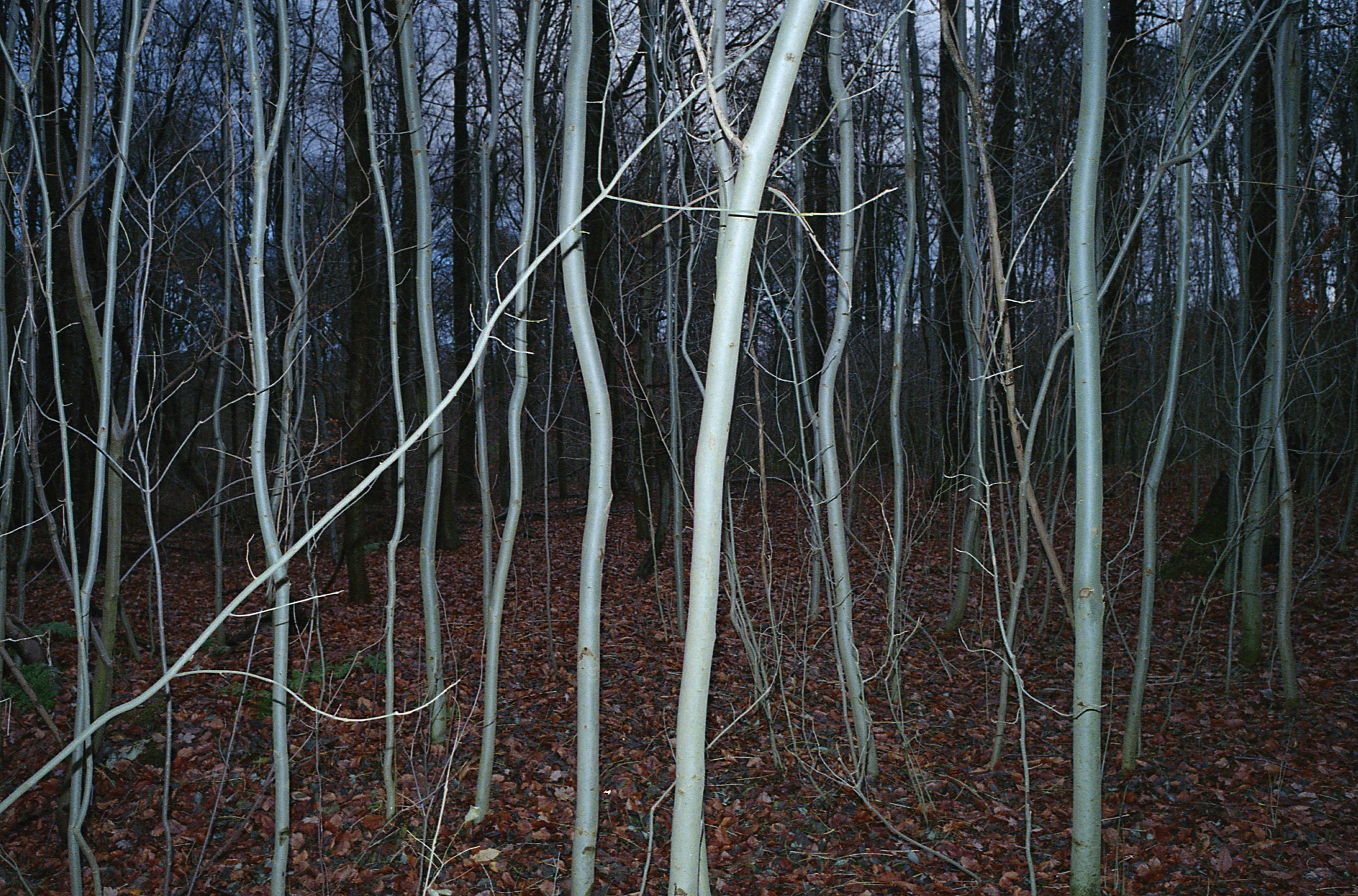 Silvrback blog image