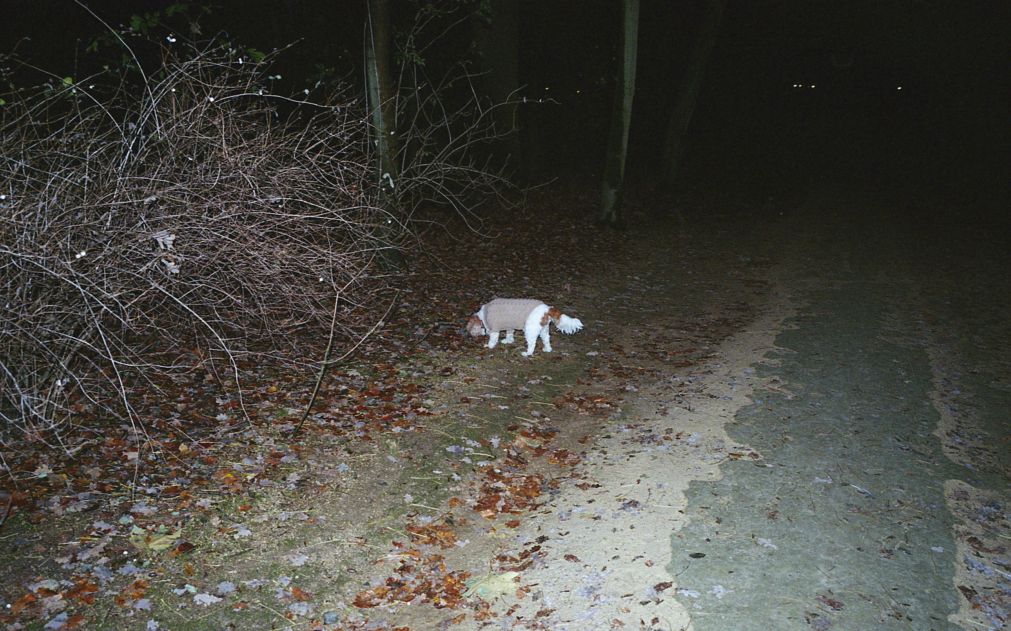 Silvrback blog image