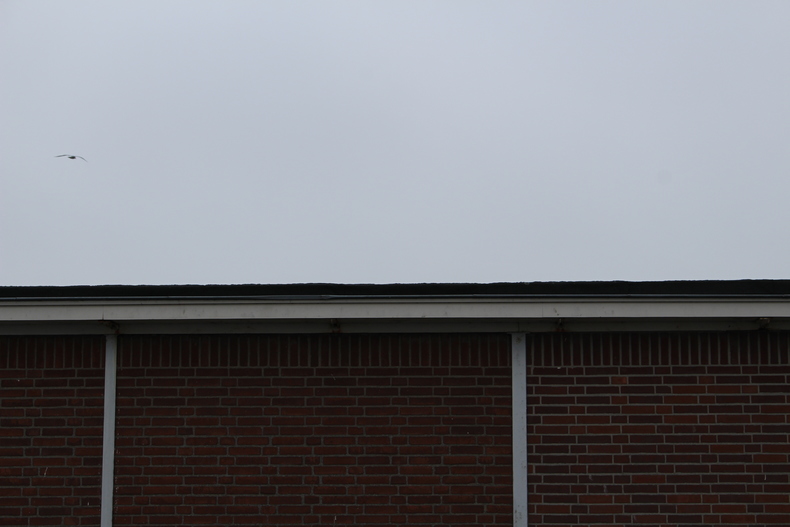 Silvrback blog image