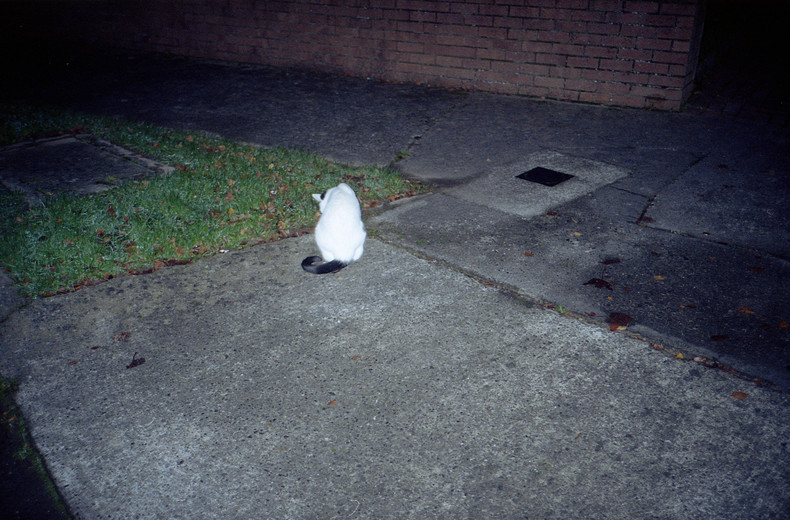 Silvrback blog image