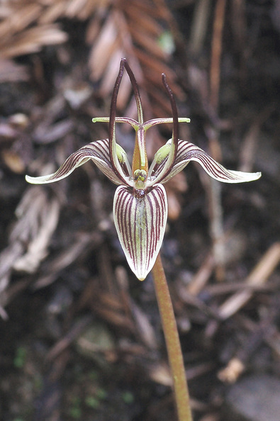 Silvrback blog image