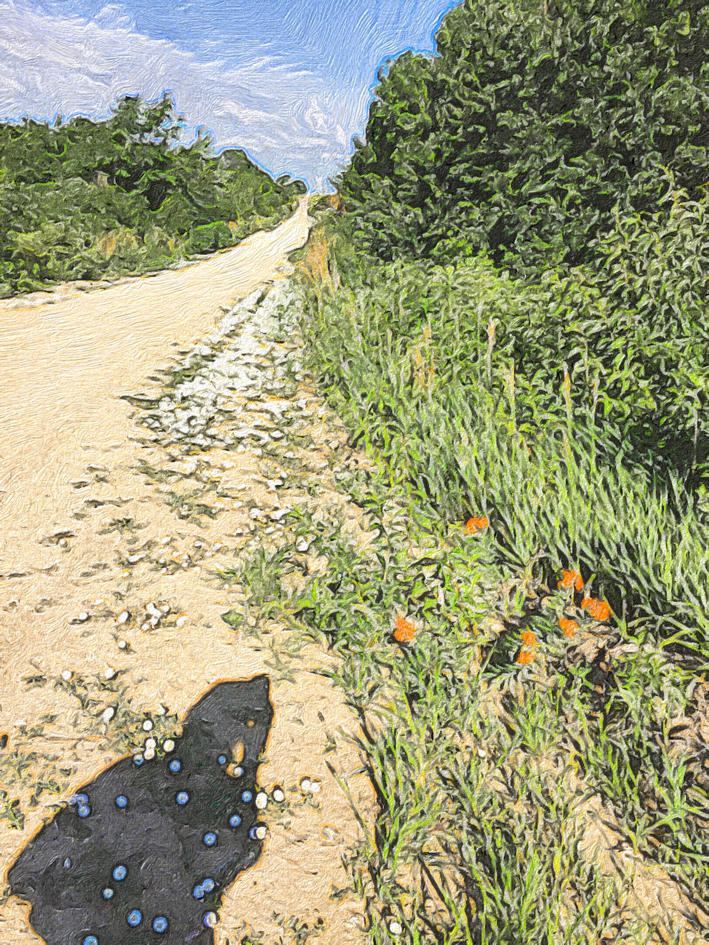 Silvrback blog image 