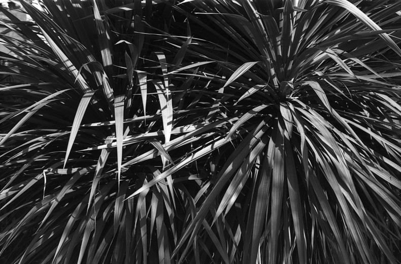 Silvrback blog image