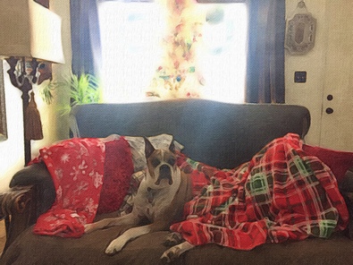 Silvrback blog image