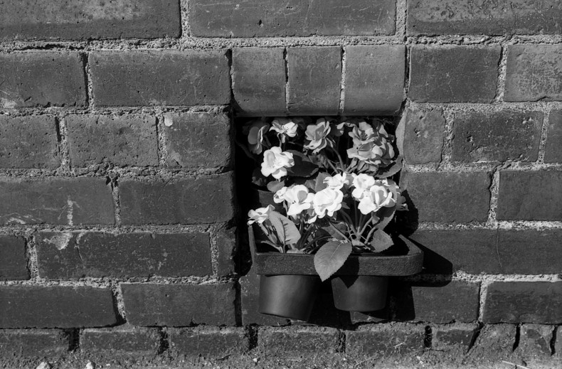 Silvrback blog image