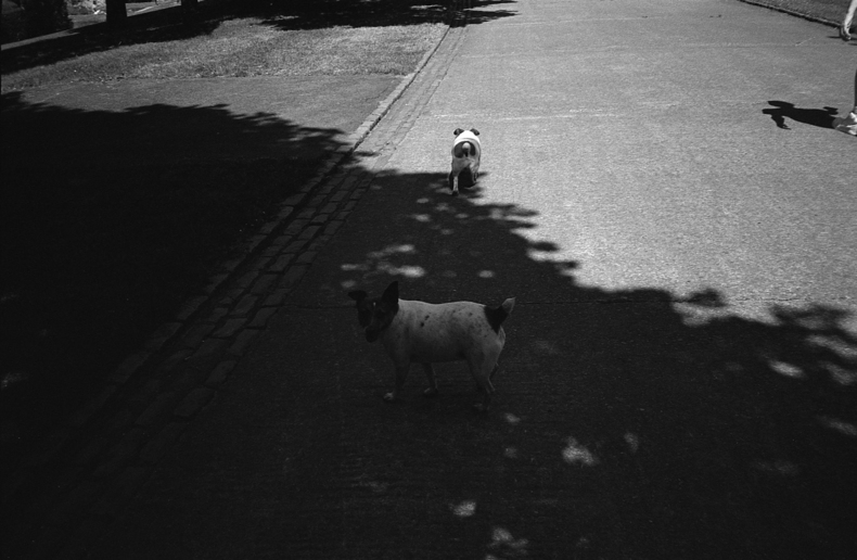 Silvrback blog image