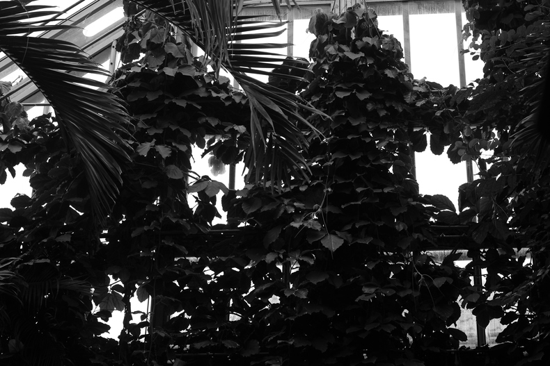 Silvrback blog image