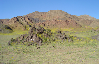 Silvrback blog image