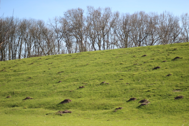 Silvrback blog image