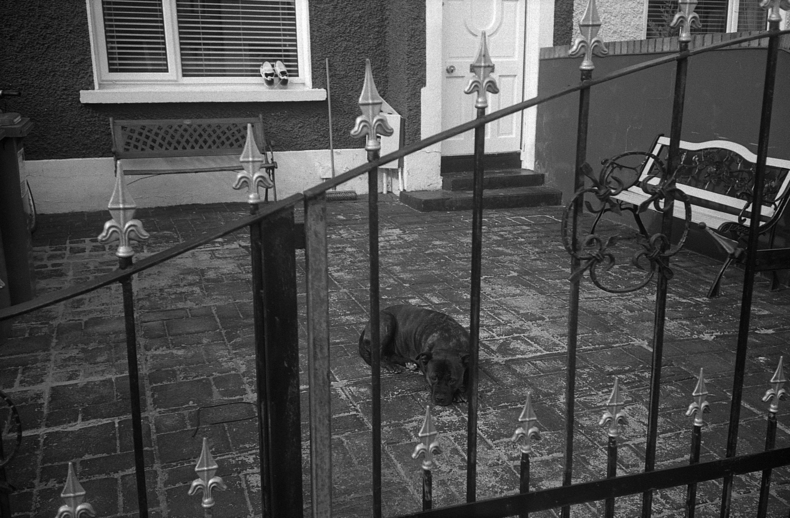 Silvrback blog image