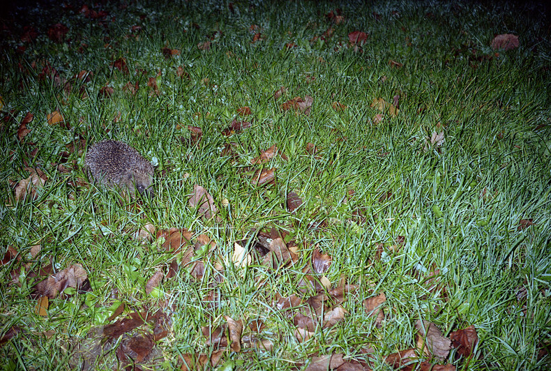 Silvrback blog image