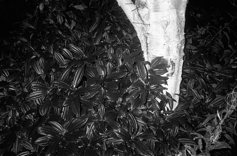 Silvrback blog image