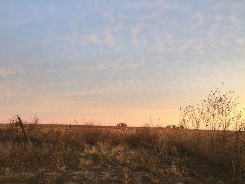 Silvrback blog image